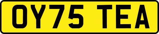 OY75TEA