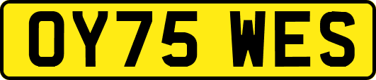 OY75WES