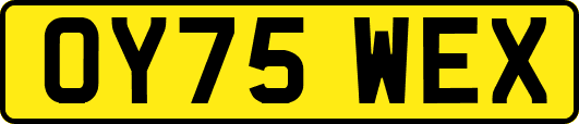 OY75WEX