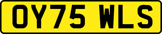 OY75WLS