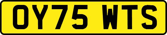 OY75WTS