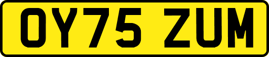 OY75ZUM