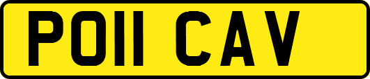 P011CAV