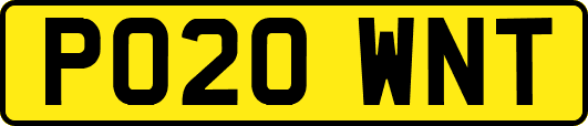 P020WNT