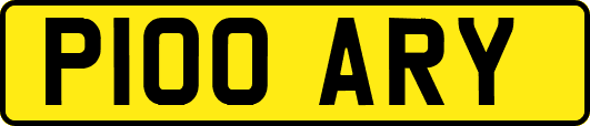 P100ARY