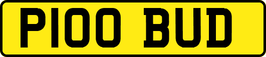 P100BUD