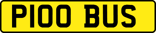 P100BUS