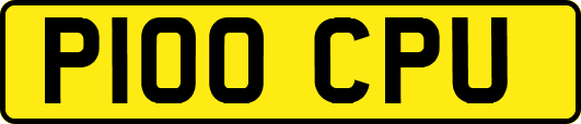 P100CPU