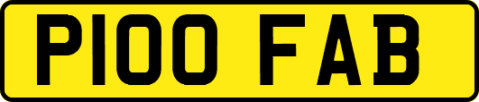 P100FAB
