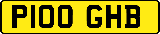 P100GHB