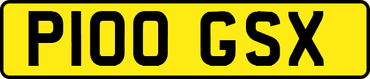 P100GSX