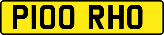 P100RHO