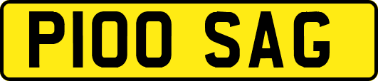P100SAG