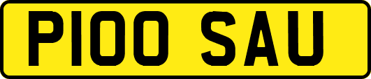 P100SAU
