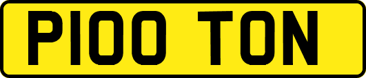 P100TON