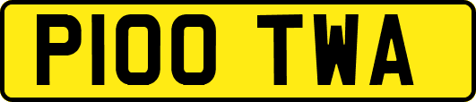 P100TWA