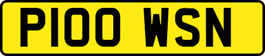 P100WSN