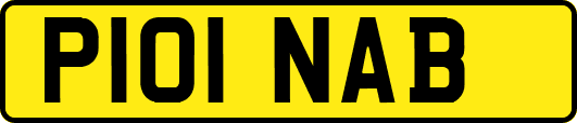 P101NAB