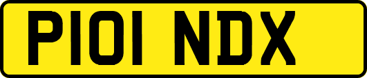 P101NDX