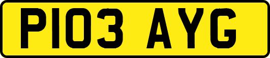 P103AYG