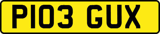 P103GUX