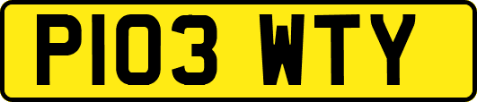P103WTY