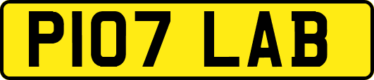P107LAB
