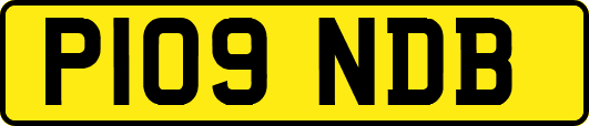 P109NDB