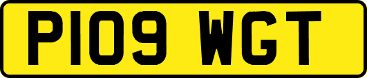 P109WGT