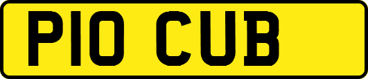P10CUB