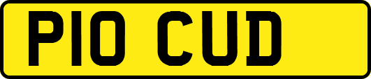 P10CUD
