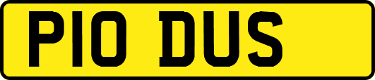 P10DUS