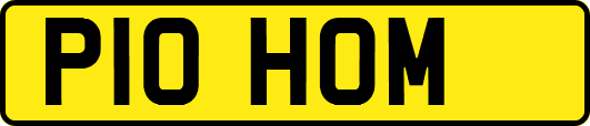 P10HOM