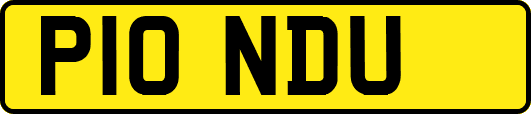 P10NDU