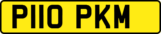 P110PKM