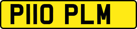 P110PLM