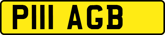 P111AGB