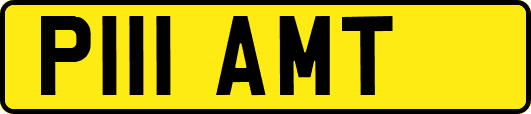 P111AMT