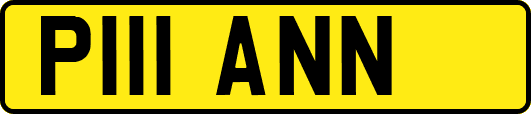 P111ANN