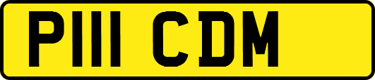 P111CDM