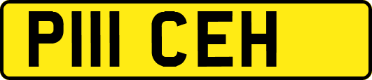 P111CEH