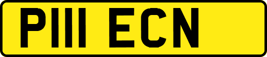 P111ECN