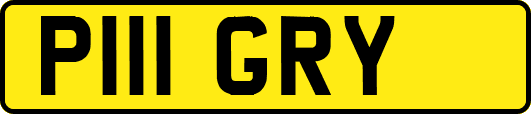 P111GRY