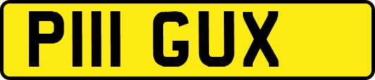 P111GUX