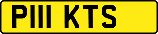 P111KTS