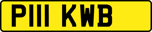 P111KWB