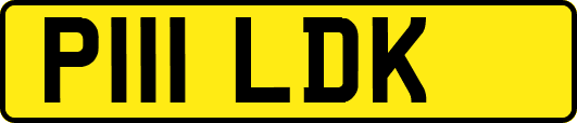 P111LDK
