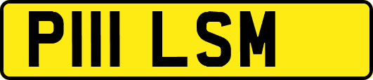 P111LSM