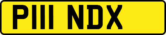 P111NDX