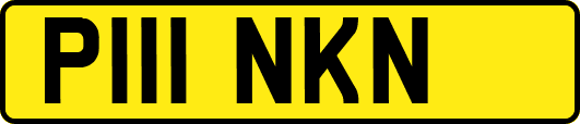 P111NKN